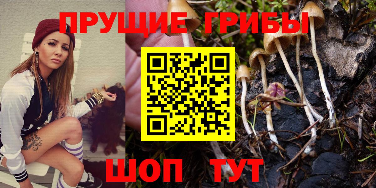 Муром  Галлюциногенные грибы Cubensis  Вход с VPN 