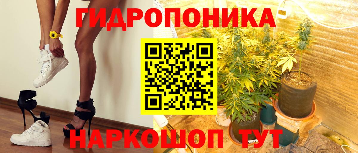 Шишки марихуана марихуана Муром